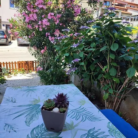 Mia * Pula