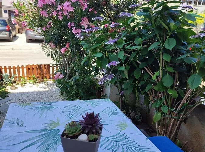 Mia * Πούλα